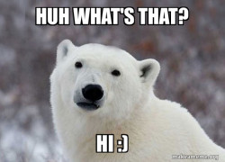 Popular Opinion Polar Bear