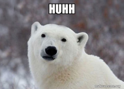 Popular Opinion Polar Bear