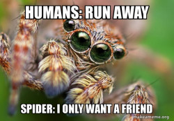 Hipster Spider