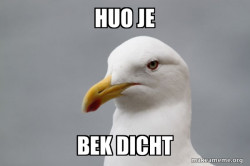Stuff That Didn't Happen Seagull