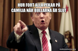 camilia gorlock