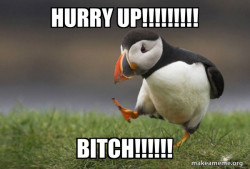 Unpopular Opinion Puffin