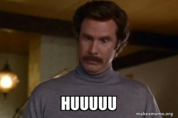 Ron Burgundy I am not even mad or That's amazing (Anchorman)