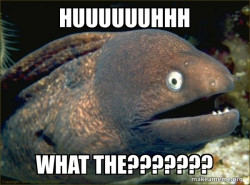 Bad Joke Eel