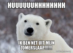 Popular Opinion Polar Bear