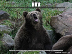 Sarcastic Bear