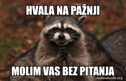 Evil Plotting Raccoon