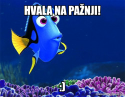 Dory from Nemo  (5 second memory)