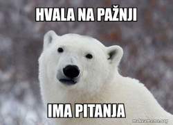 Popular Opinion Polar Bear