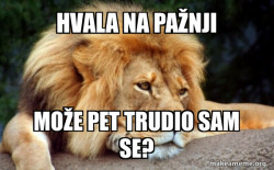 Confession Lion
