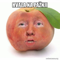 Impeached Donald Trump