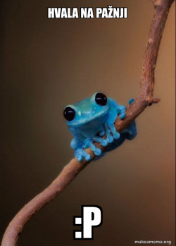 Small Fact Frog