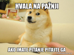 Doge