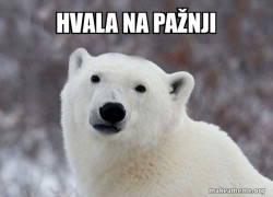 Popular Opinion Polar Bear