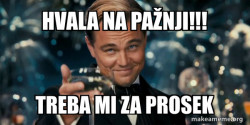 Great Gatsby Reaction - Leonardo DiCaprio Toast