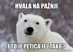 Popular Opinion Polar Bear