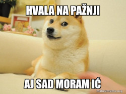 Doge