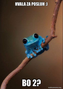 Small Fact Frog