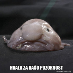 Blobfish