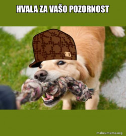 Scumbag dog