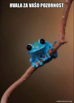 Small Fact Frog