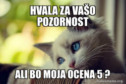 First World Cat Problems
