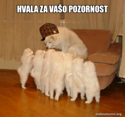 Scumbag Storytelling Dog