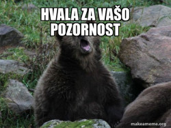 Sarcastic Bear