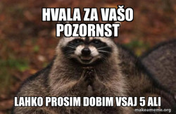 Evil Plotting Raccoon