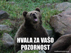 Sarcastic Bear