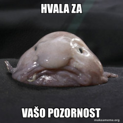 Blobfish