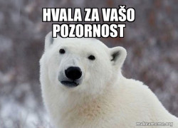 Popular Opinion Polar Bear