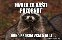 Evil Plotting Raccoon