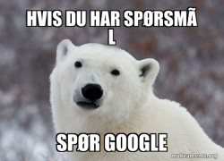 Popular Opinion Polar Bear