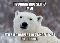 Popular Opinion Polar Bear