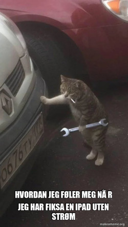 Mechanic Cat