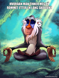 Rafiki Meditating - Lion King