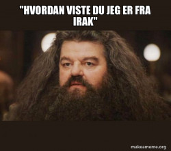 Hagrid - I should not have said that