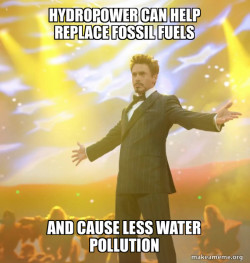 Tony Stark Success