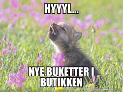 Meme Nye buketter