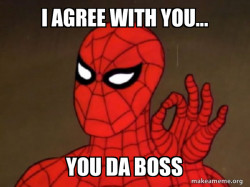 Spiderman - Care factor Zero