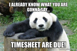 Confession Panda