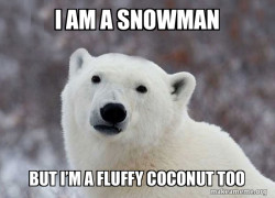 Popular Opinion Polar Bear