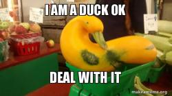 Gourd Advice Mallard
