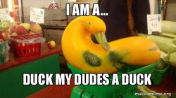Gourd Advice Mallard