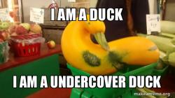 Gourd Advice Mallard