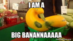 Gourd Advice Mallard