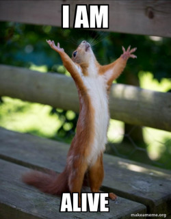 Happy Squirrel