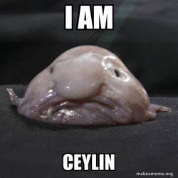 Blobfish