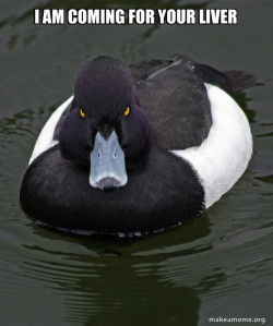 Revenge Duck ( Angry Advice Duck )
